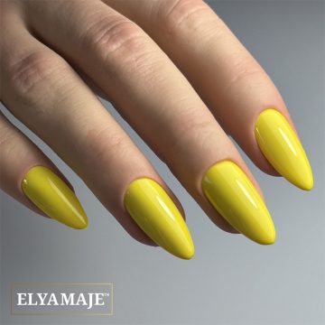 VSP - FL101 Poussin - ELYAMAJE
