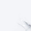 VSP - Blanc 017 - M'NAILS