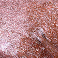 VSP - Cosmopolitan 199 - M'NAILS