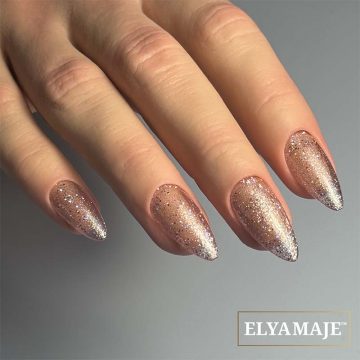 VSP - PA241 Phoenix - ELYAMAJE