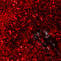 VSP - Ruby Glow 294 - M'NAILS