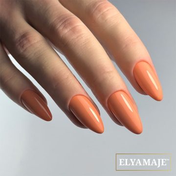 VSP - CO69 Madison - ELYAMAJE
