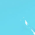 VSP - Bleu des Iles 077 - M'NAILS