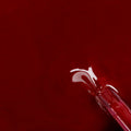Cool Colors 296 - Christmas Wine - m'nails
