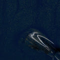 VSP - Cat Eyes Deep Blue 044 - M'NAILS